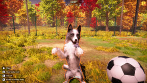 Animal Shelter 2 screenshot 2