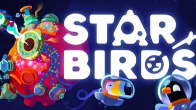 Star-Birds_preinstalled-the-dark-games