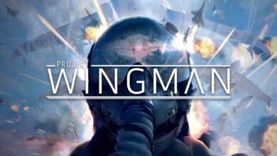 project-wingman-preinstalled-the-dark-games