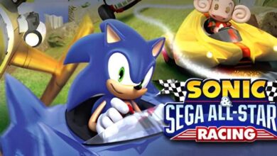 Sonic-SEGA-All-Stars-Racing_picture-thedarkgames