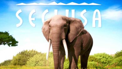 seclusa-preinstalled-thedarkgames