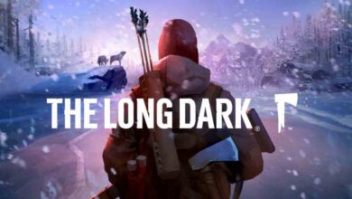 the-long-dark-preinstalled-the-dark-games