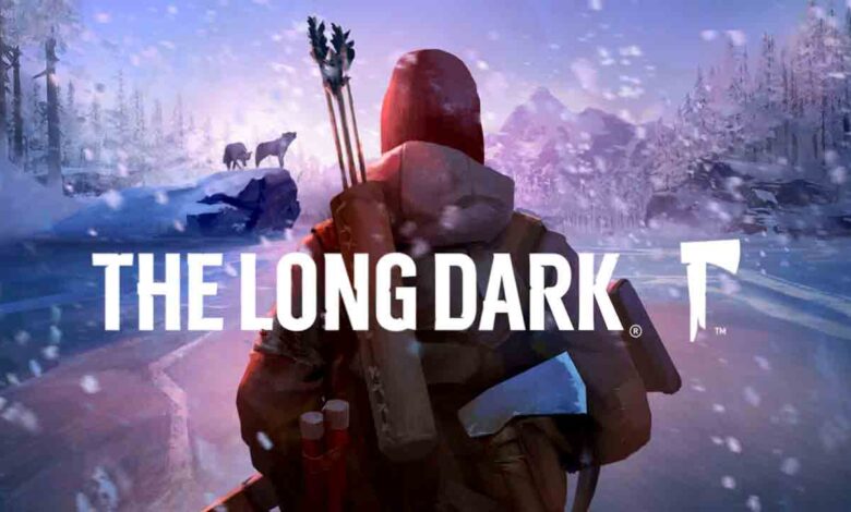 the-long-dark-preinstalled-the-dark-games